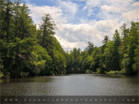 Pond at Carl Sandburg Home